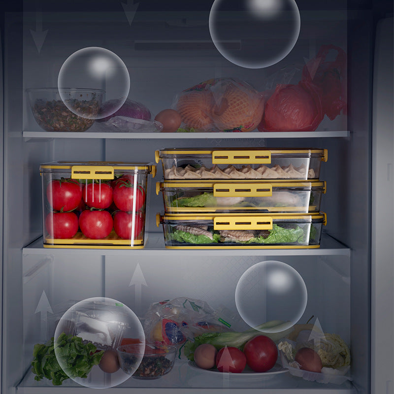 Transparent Refrigerator Food Storage Box